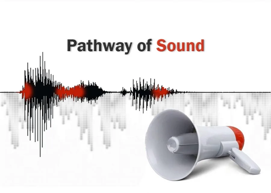 pathway-of-sound